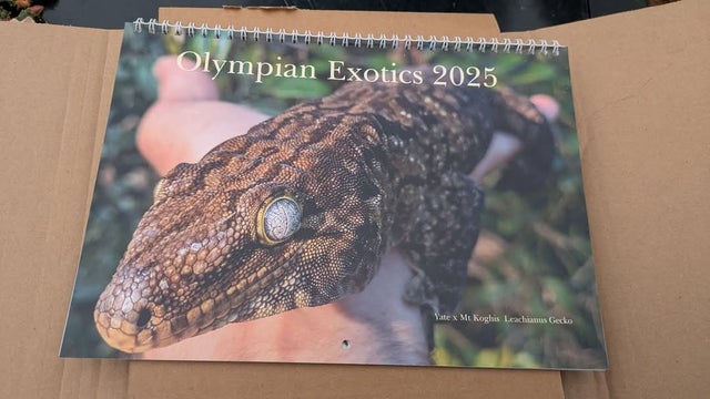 2025 Olympian Exotics Calendars